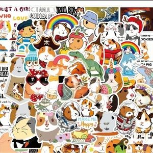Guinea pig stickers 10 random stickers